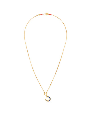 Roxanne Assoulin necklace with horseshoe charm