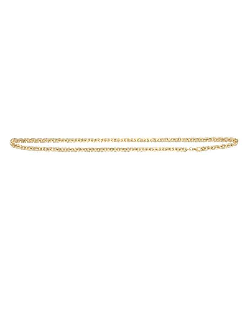 The Cable Chain Belt – Roxanne Assoulin display picture 3