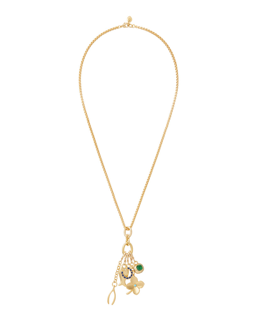 The Buona Fortuna Charm Pendant – Roxanne Assoulin