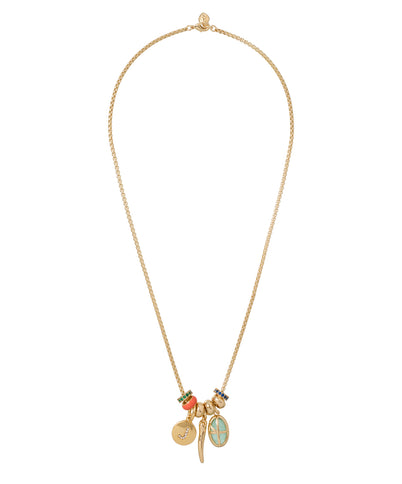 A Little Bit of Everything Charm Necklace