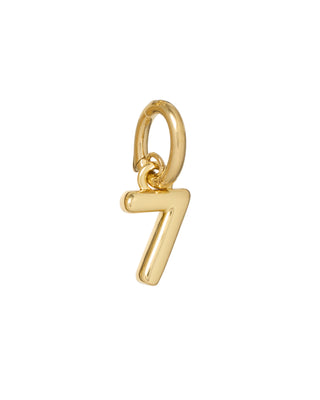 Lucky Number Charms