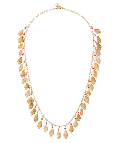 The Tulip Shell Necklace